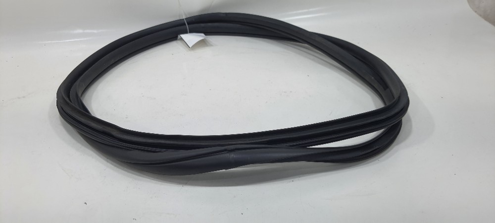 Borracha Porta Dianteira Direita Hb20s 1.0 Comfortline 2019 4