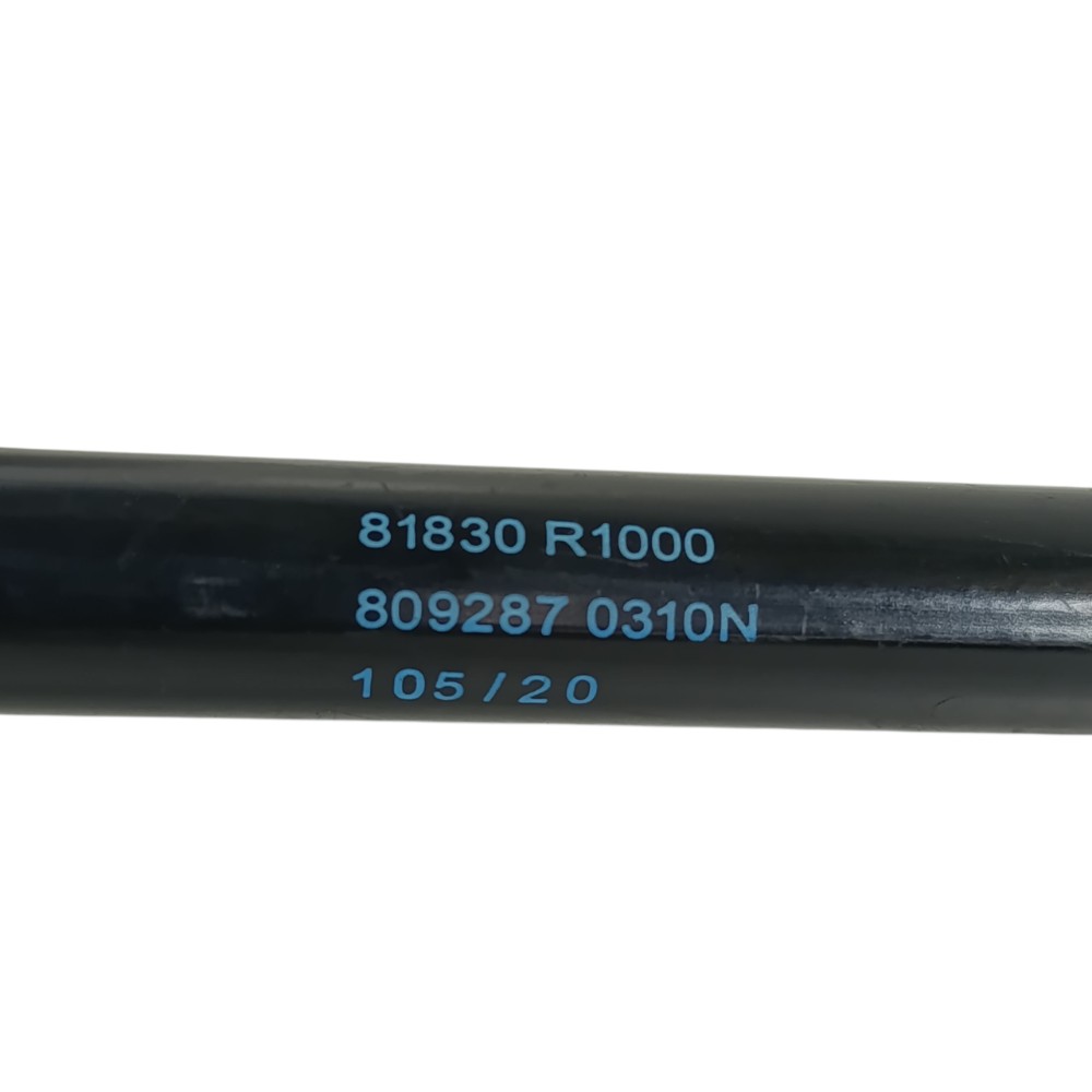 Amortecedor Tampa Traseira Hb20 Vision 1.0 2021 81830r1000 4