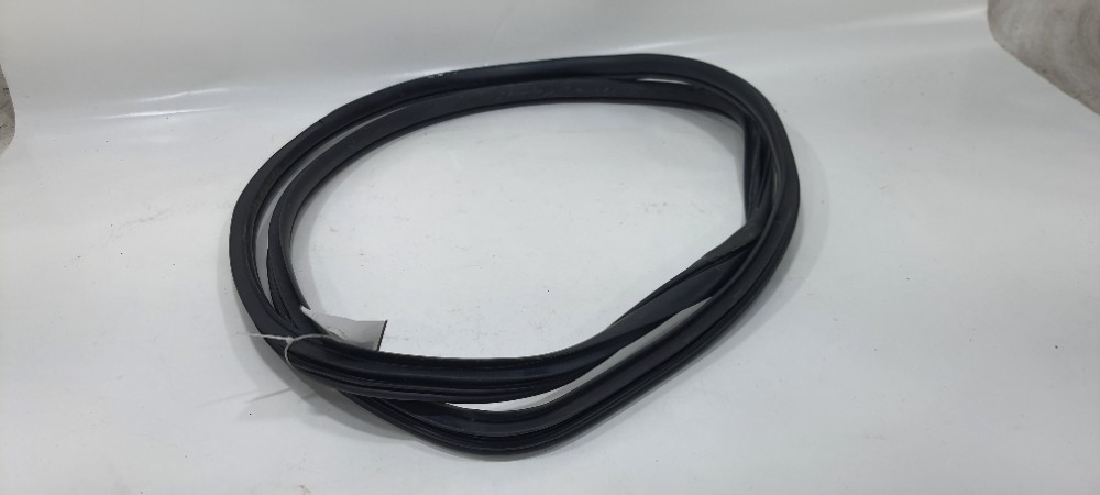 Borracha Porta Dianteira Esquerda Hb20s 1.0 Comfortline 2019
