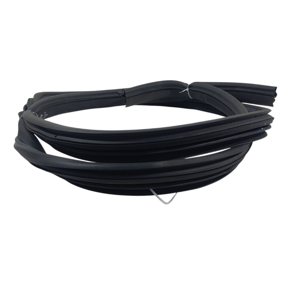 Borracha Porta Traseira Esquerda Kwid Zen 2023 769225573r 1