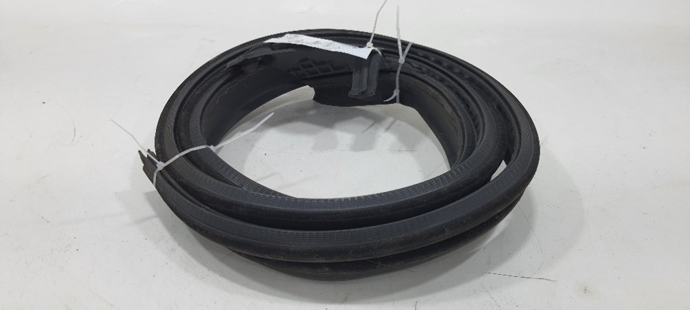 Borracha Teto Lado Esquerdo Renault Sandero 1.0 2019 5