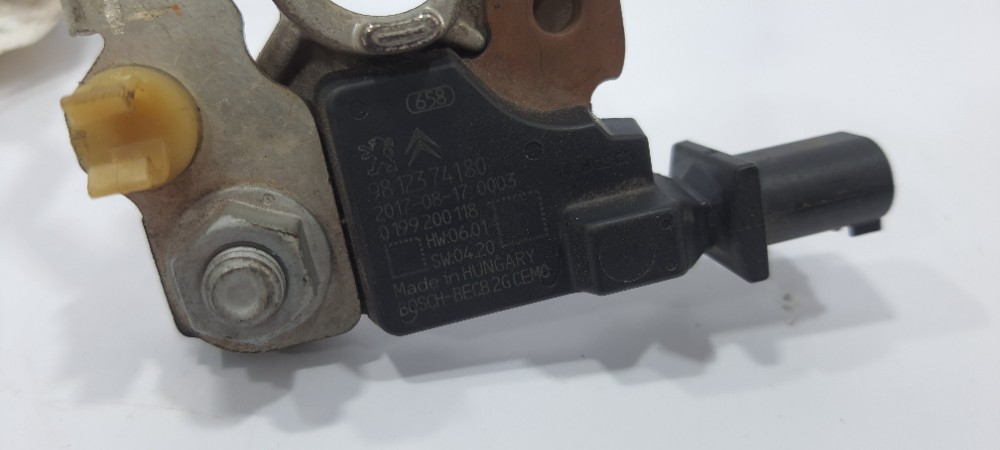 Terminal Negativo Bateria Peugeot 208 1.2 2018 9812374180 3