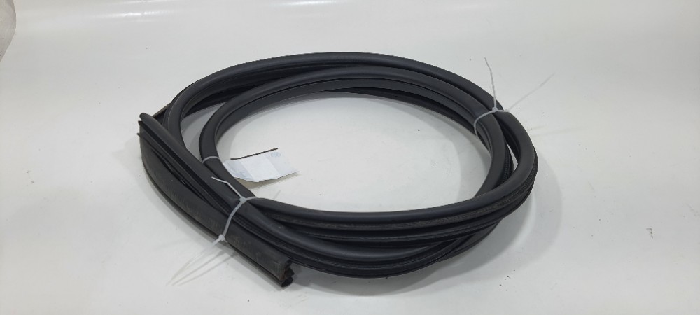 Borracha Porta Dianteira Direita Nissan Kicks Ano 2019 5