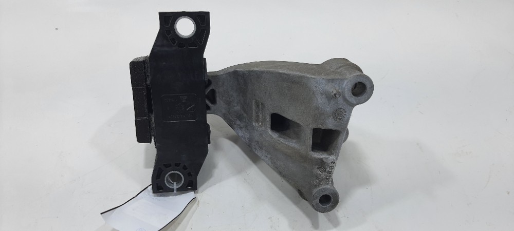 Coxim Motor Coxin Ld Renault Sandero 3cc Ano 2020 113752043r 2
