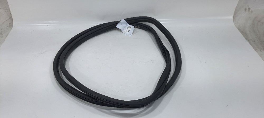 Borracha Porta Dianteira Esquerda Hb20s 1.0 Comfortline 2019 2