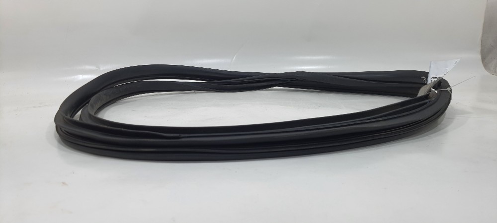 Borracha Porta Dianteira Esquerda Hb20s 1.0 Comfortline 2019 5