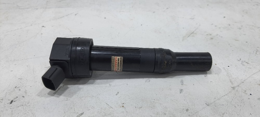 Bobina Ignição Hyundai Ix35 2012 273002e000 1