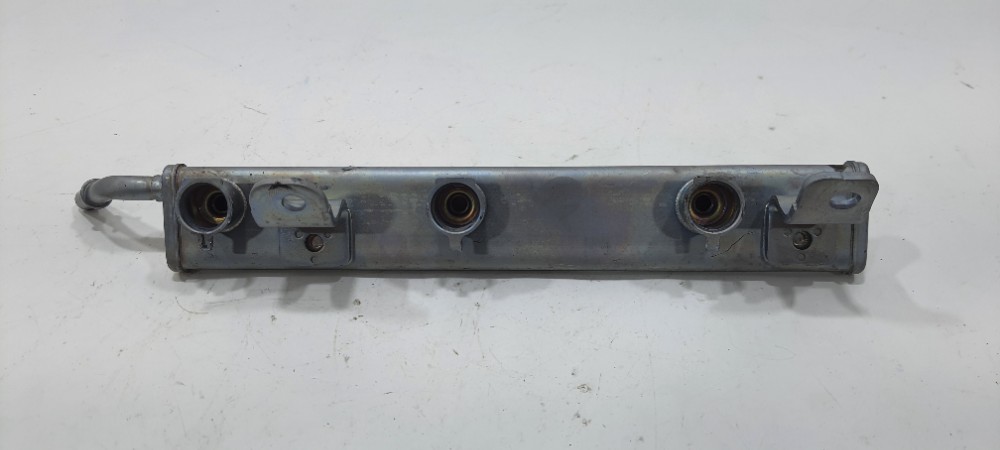 Flauta Bico Injetor Renault Sandero 1.0 3cc 2020 175204033r 2