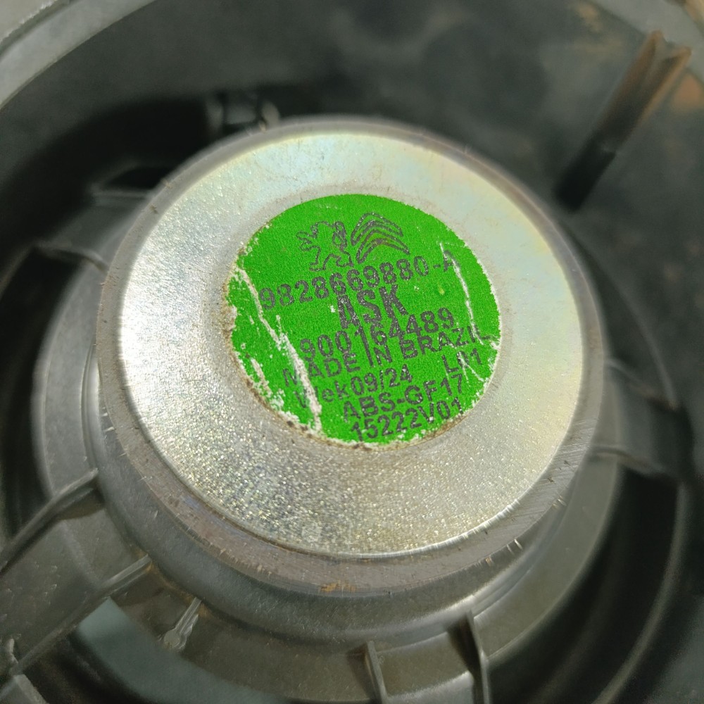 Alto falante traseiro esquerdo Peugeot 208 2024 9828669880 6