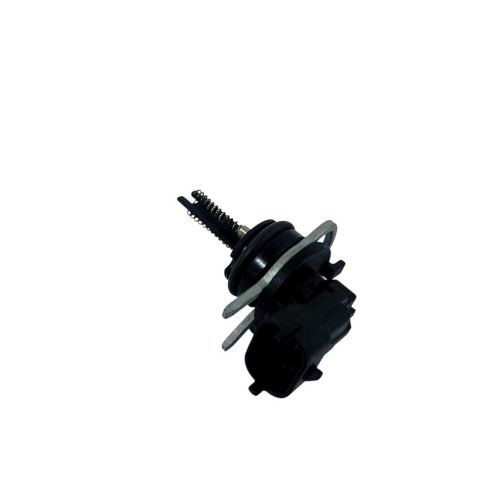 Aquecedor Flauta Bicos Injetor Ford Ka 1.0 2021 F000kv1531 12 4