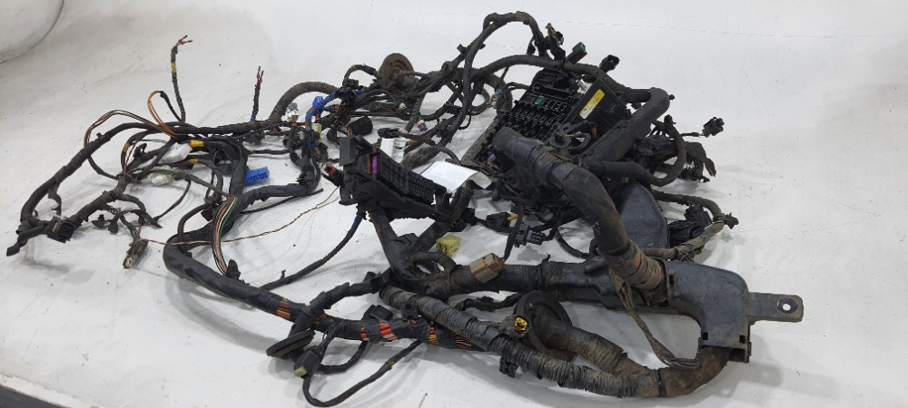 Chicote Motor Hyundai Ix35 2.0 Ano 2012 919502s010 2