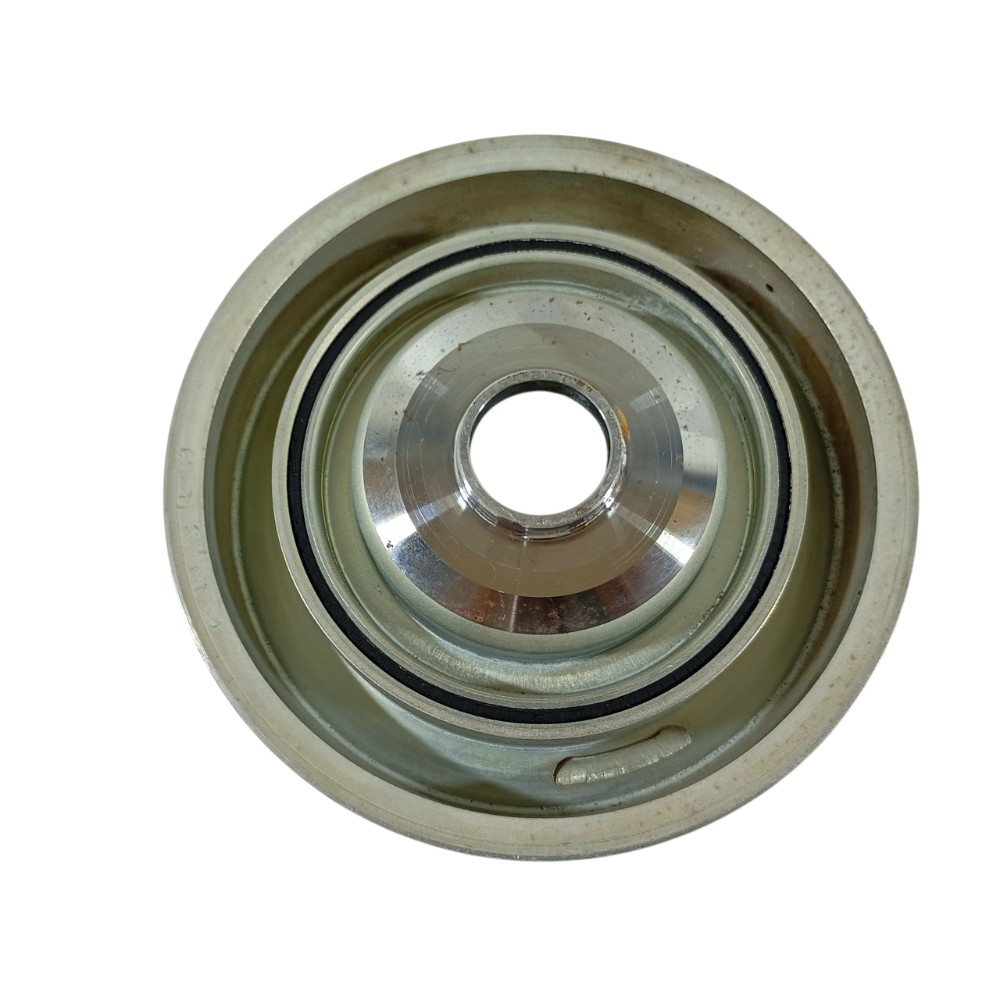 Polia Motor Renault Captur 2021 8201C17784 2