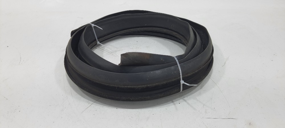 Borracha Teto Lado Esquerdo Renault Sandero 1.0 2019 2