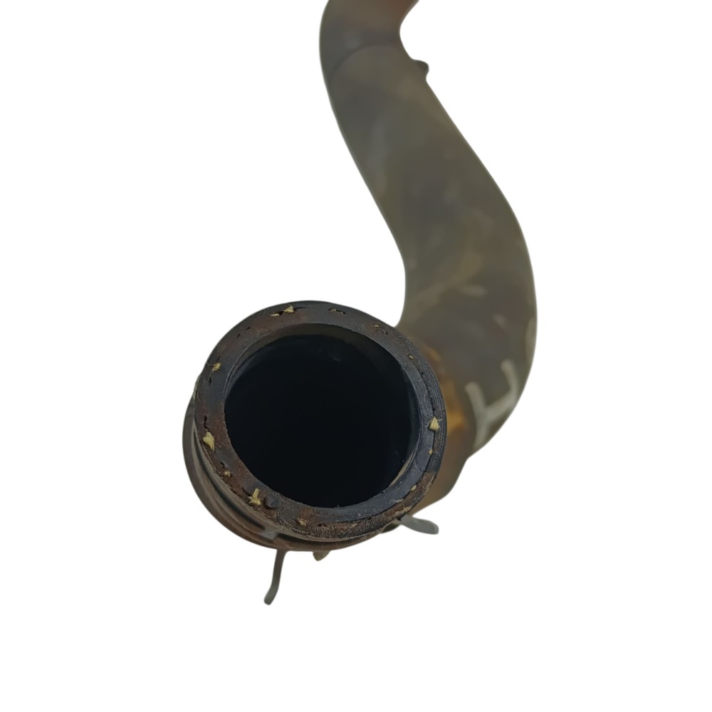 Mangueira inferior radiador Ford Ka se Hatch 2020 C1B18B273 4