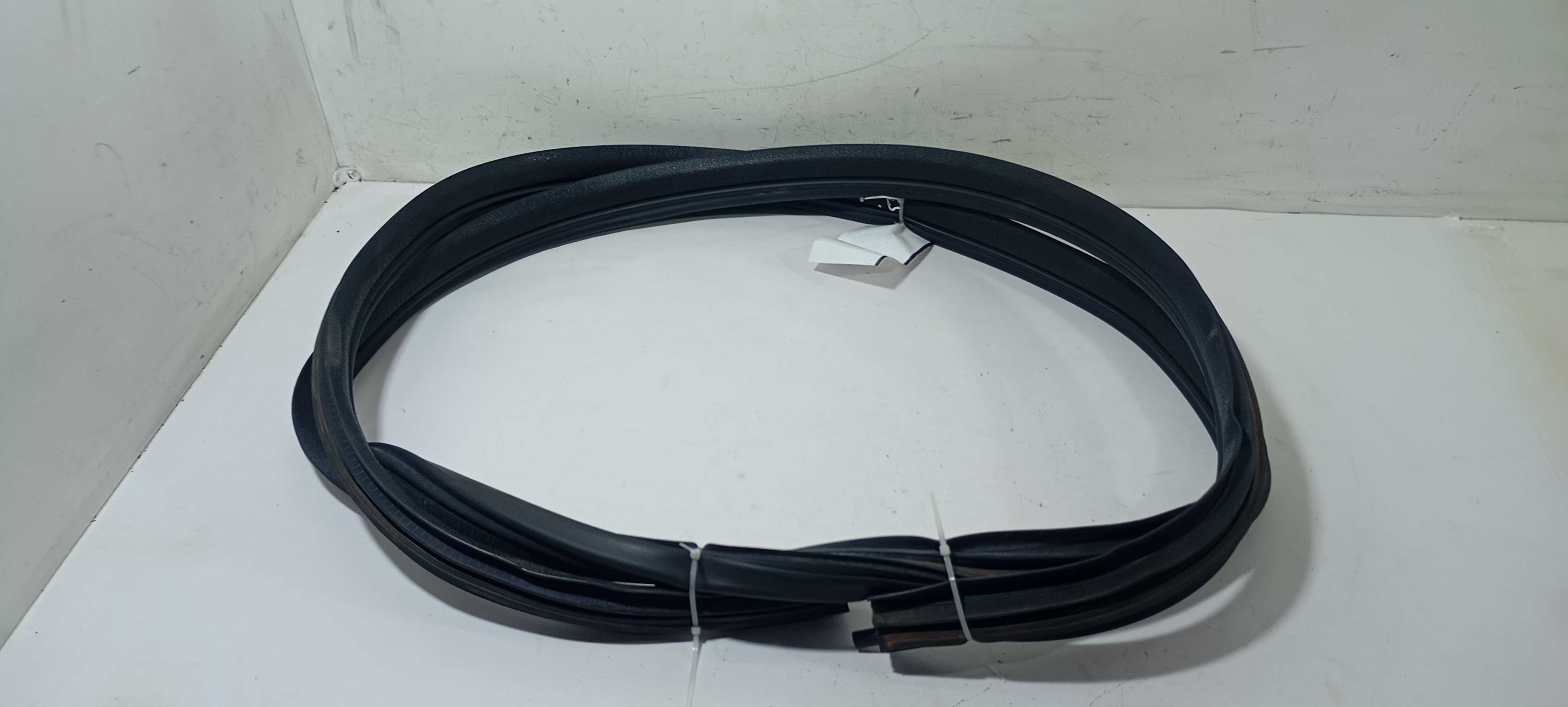 Borracha Porta Traseira Esquerda Kwid 2021 769225573r 2