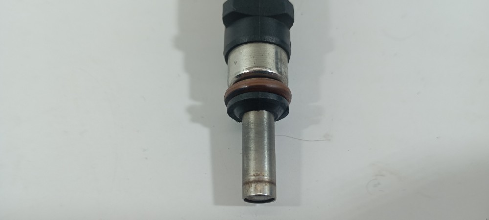 Bico Injetor Nissan March 1.0 2019 166003br0a 12 3