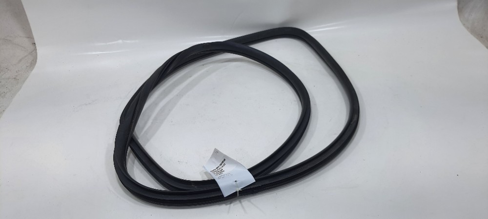 Borracha Porta Traseira Esquerda Hb20s 1.0 Comfortline 2019 Preto