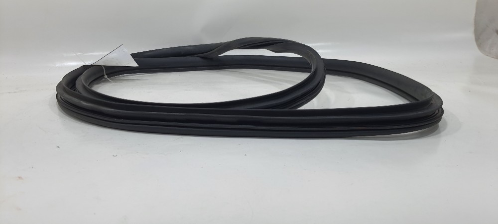 Borracha Porta Traseira Esquerda Hb20s 1.0 Comfortline 2019 Preto 5