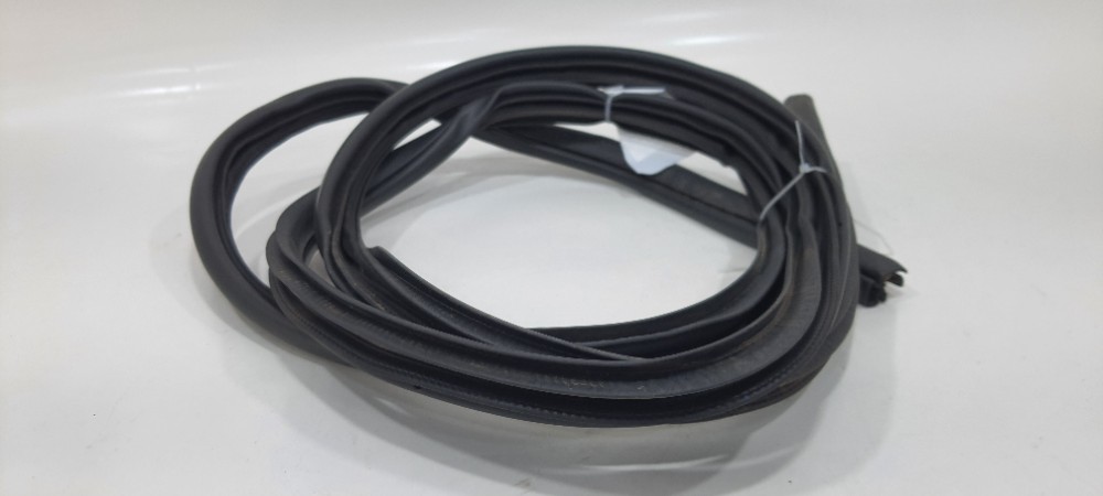 Borracha Porta Dianteira Esquerda Nissan Kicks Ano 2019 3