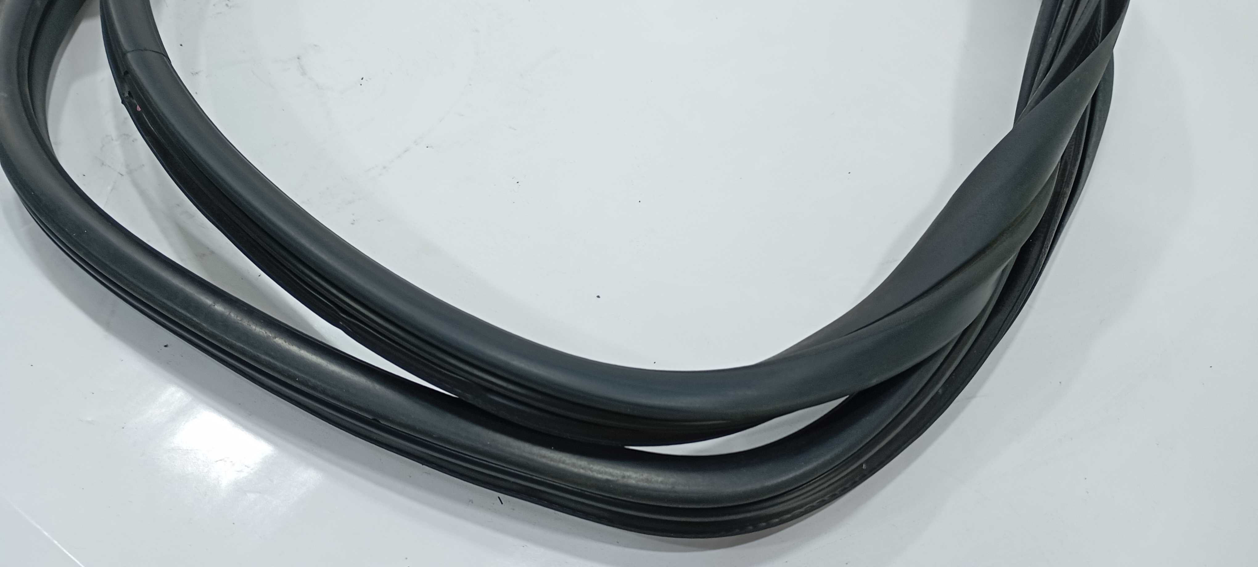 Borracha Porta T. Esquerda Bmw X6 Xdrive  4.4 Biturbo V2276 3