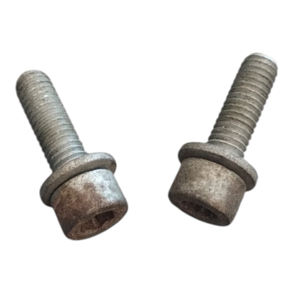 Parafusos Da Flauta De Combus. Citroen C4 2.0 2010 À 2014. 3