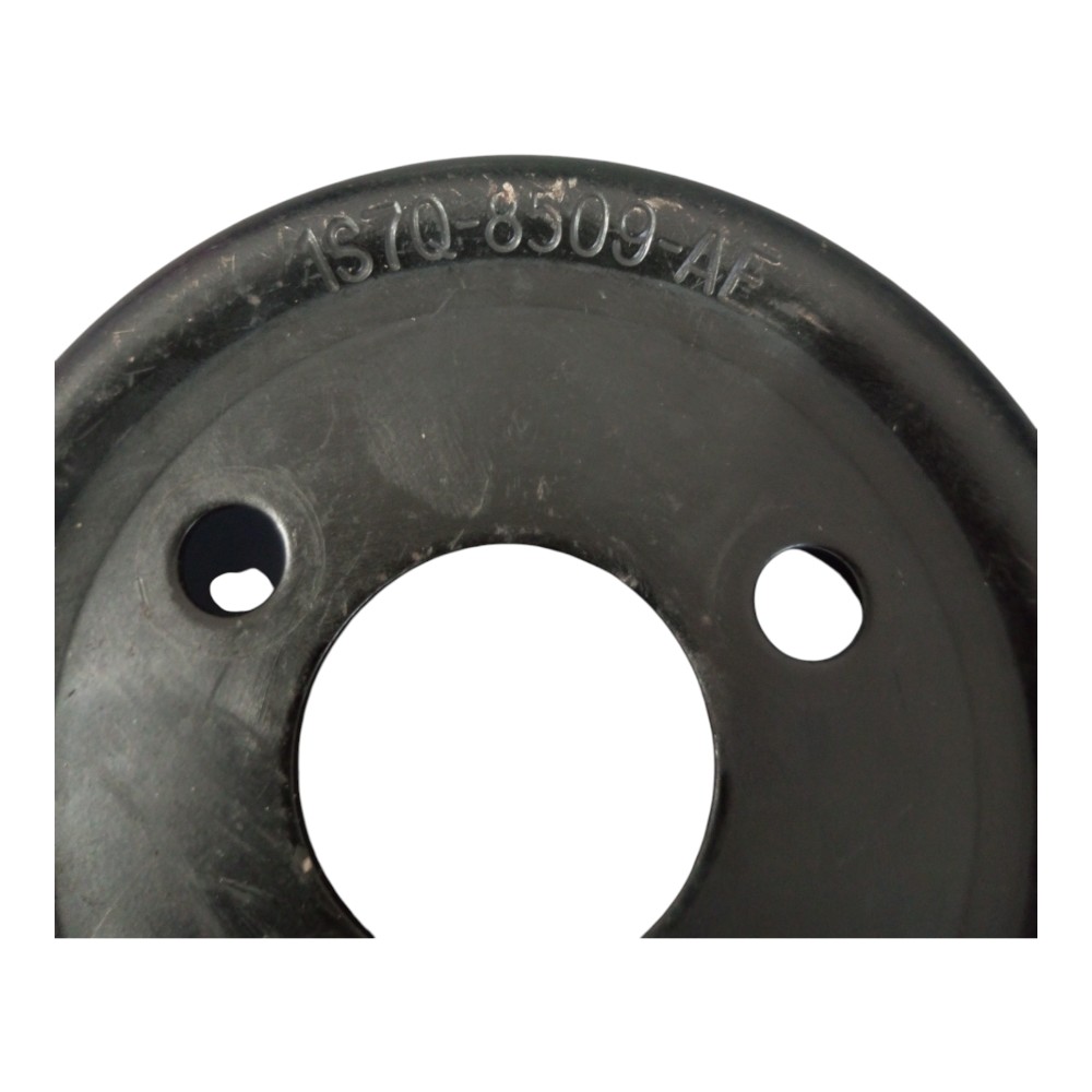Polia Bomba Dágua Ford Focus Ecosport 2.0 16v Flex. 3