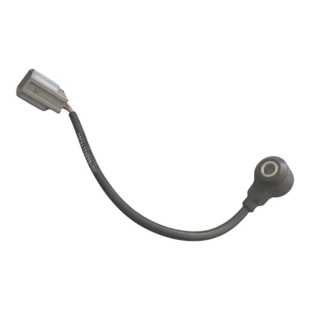 Sensor De Detonação Ford Ecosport 2.0 16v. 2014 À 2019. 2