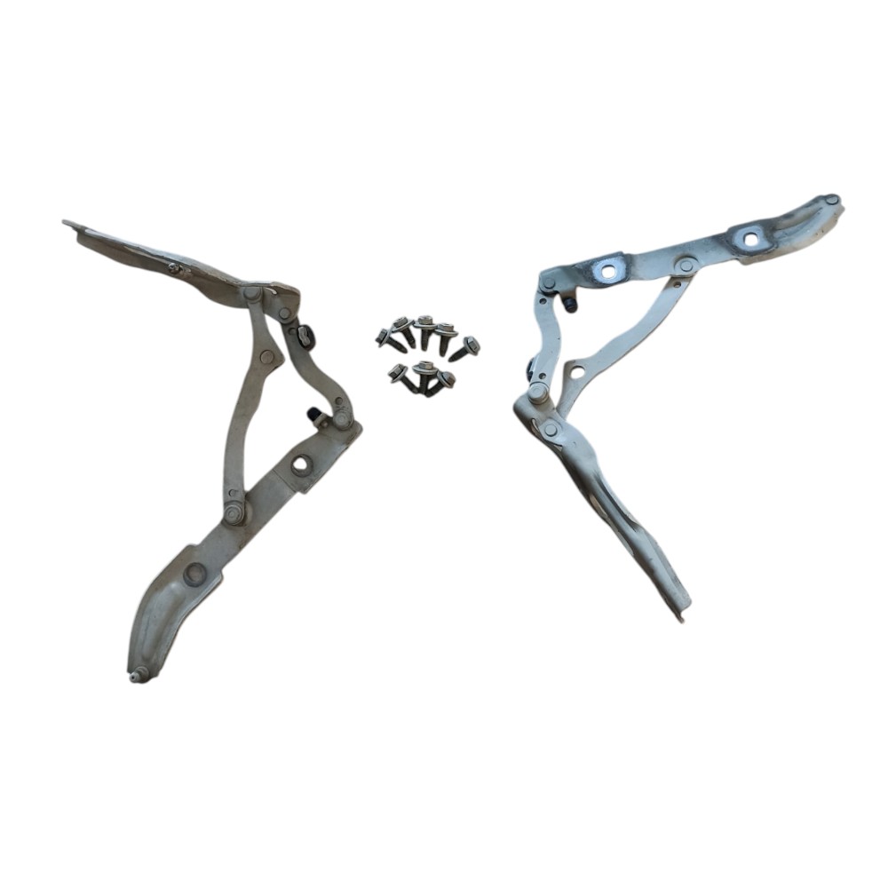 Par De Dobradiças Tampa Traseira Bmw 318i 320i 2008 À 2012. 3