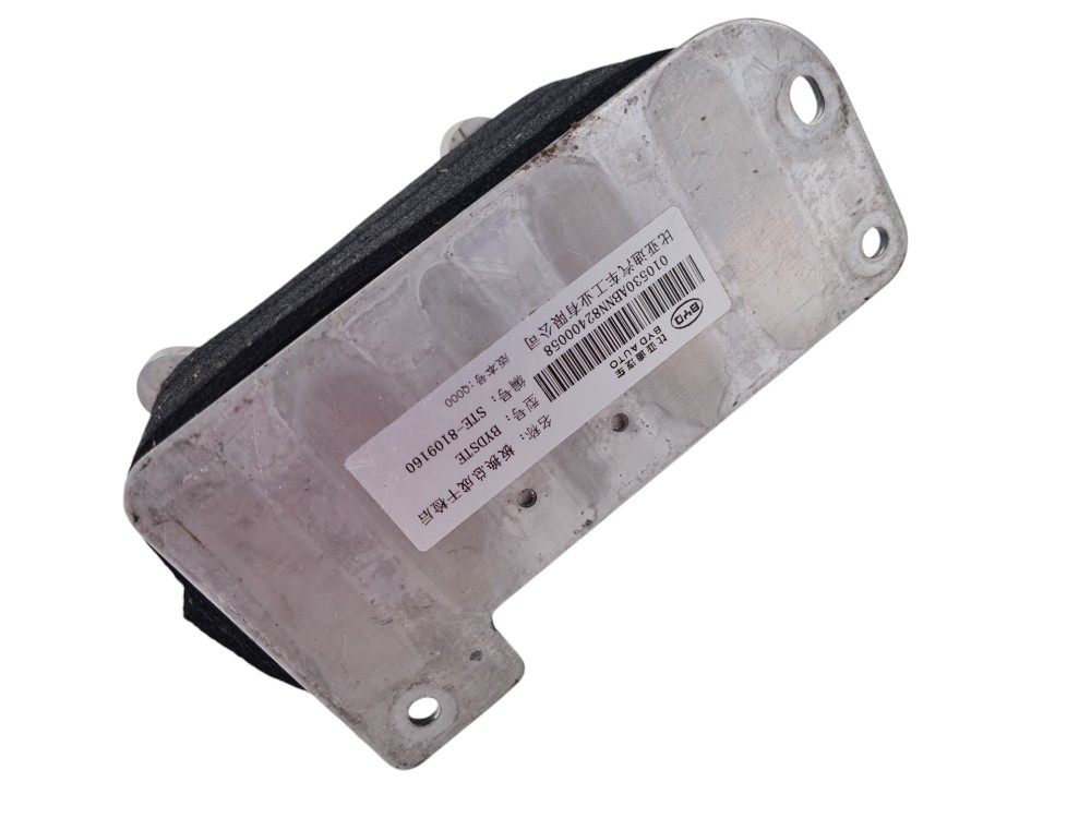 Resfriador Trocador De Calor Byd Tan 2023 Ste-8109100 5