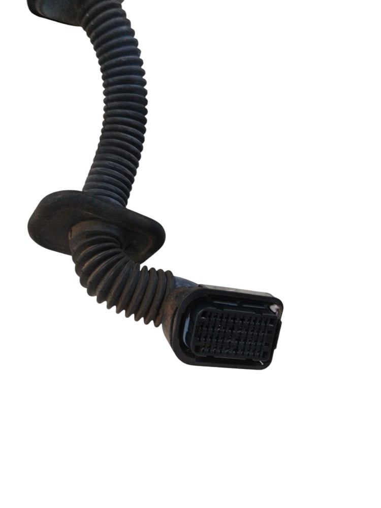 Chicote Porta Dianteira Esquerda Renault Kangoo 2024 2025 7