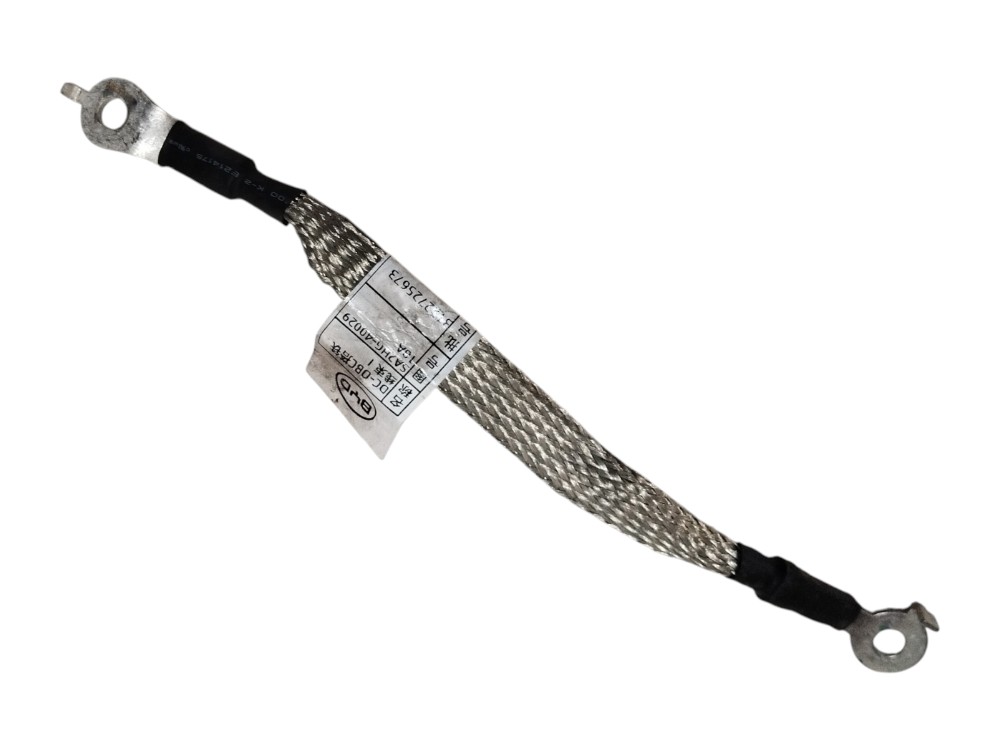 Cabo Terra Bateria Byd Song Pro 2025 2026 SA2HG4002918 2