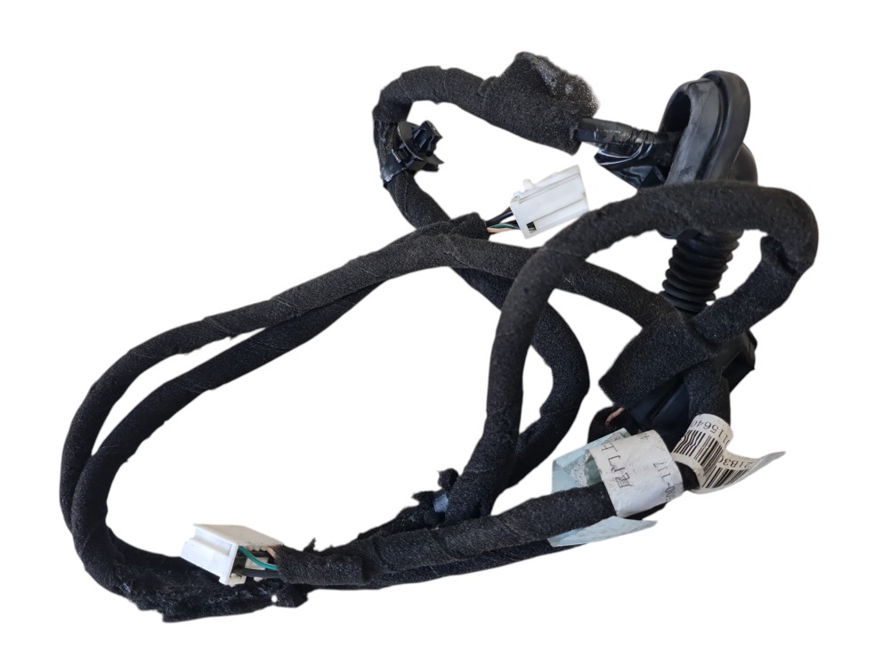Chicote Porta Traseira Jac E-js1 2023 4013100×0070 Original 4