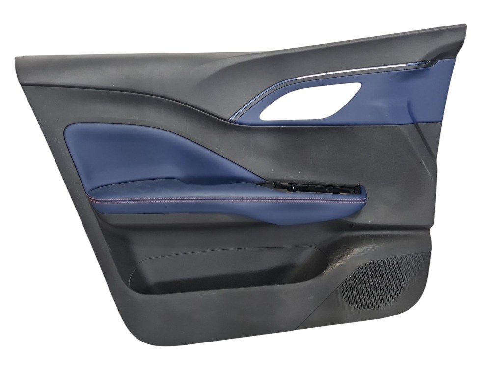 Forro Porta Dianteira Esquerda Byd Dolphin Mini 2024 2025 4