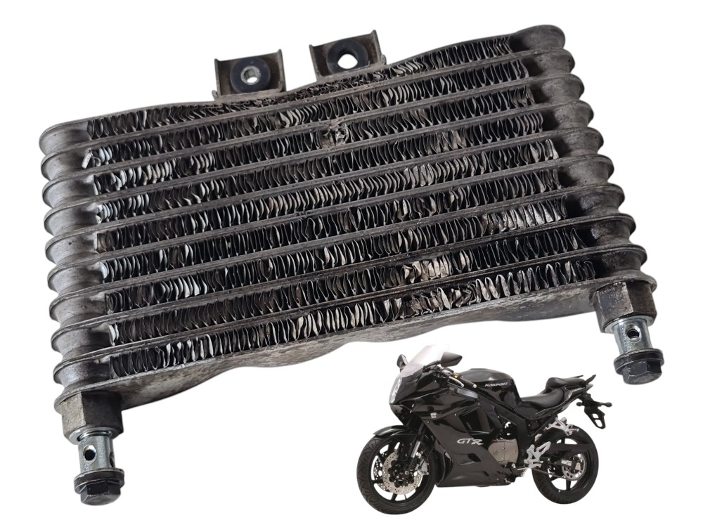 Radiador Kasinski Comet Gtr 250 2008 Original Está Funcional 1