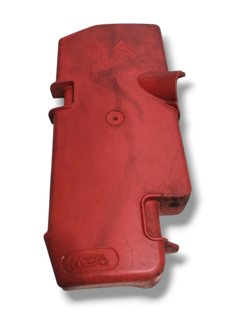 Protecao do polo positivo da bateria Citroen C5 2009 2010