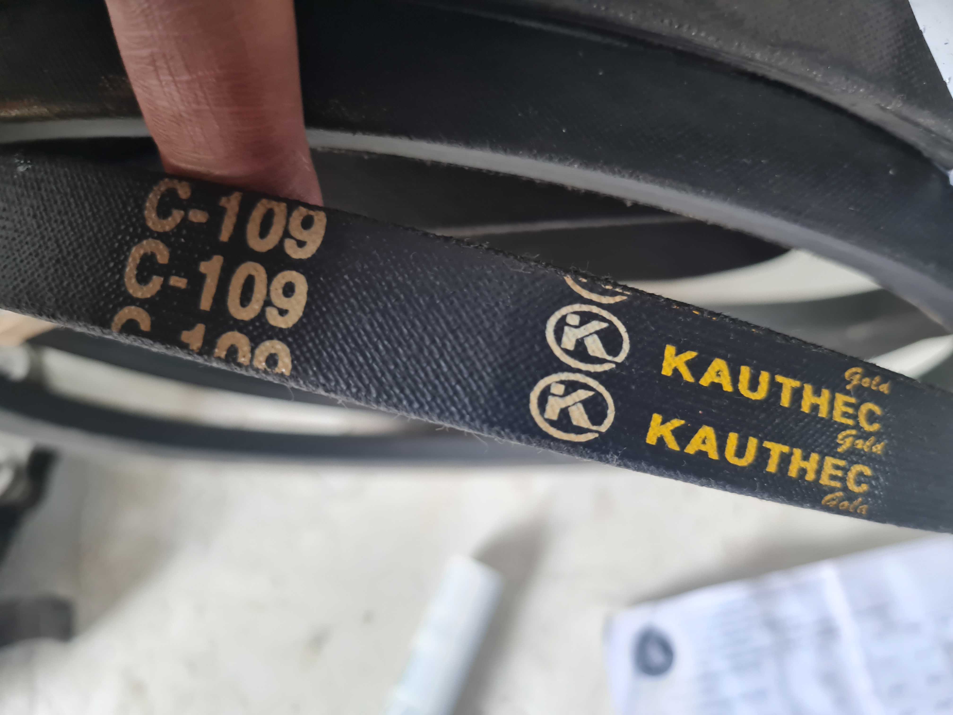 Correia Lisa Kauthec Gold C-109 / C109 / C 109 2