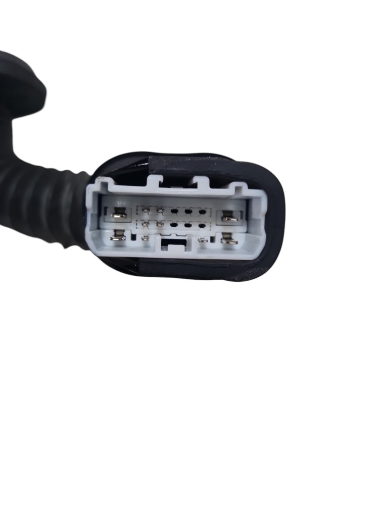 Chicote Porta Traseira Byd Dolphin Mini 2025 2026 Original 3