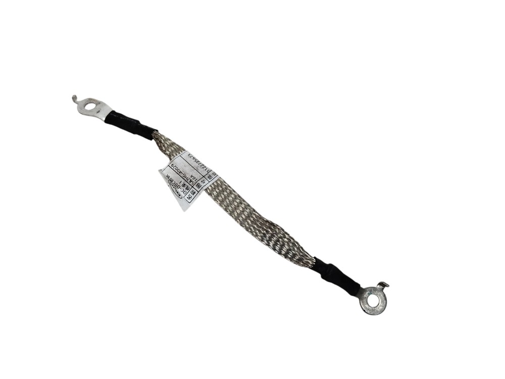 Cabo Terra Bateria Byd Song Pro 2025 2026 SA2HG4002918 4