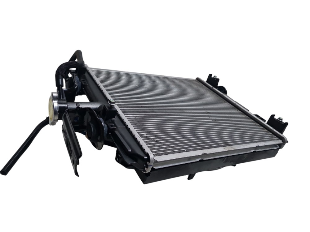 Kit Radiador Completo Byd Dolphin Mini 2025 2026 Original 2