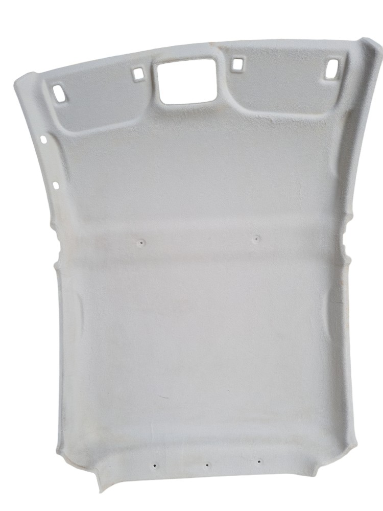 Forro Teto Interno Jac E-js1 2023 Ótimo Estado 1