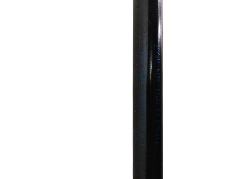 Par De Amortecedor Porta Malas Byd Dolphin Mini Original 6
