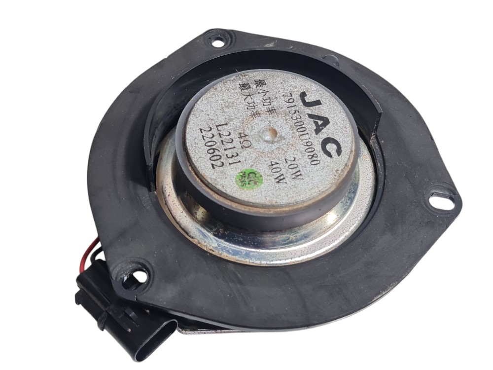 Alto Falante Traseiro Esquerdo Jac E-js1 2023 Original  L 4