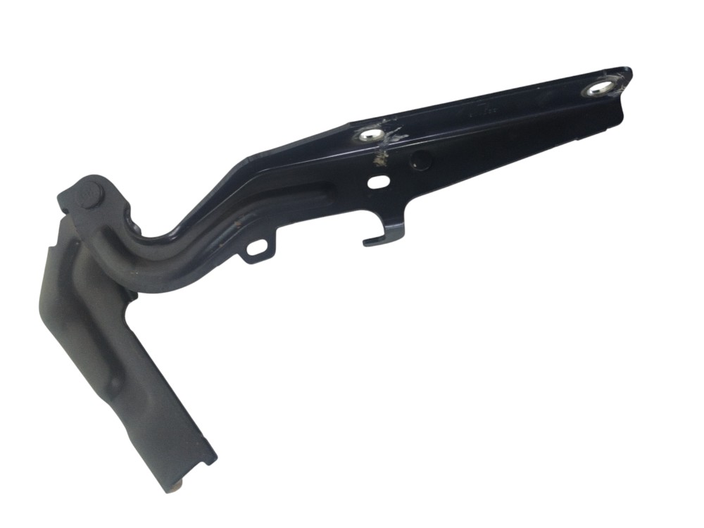 Dobradiças Capô Byd Tan 2023 St8402610 St8402619 Original 4