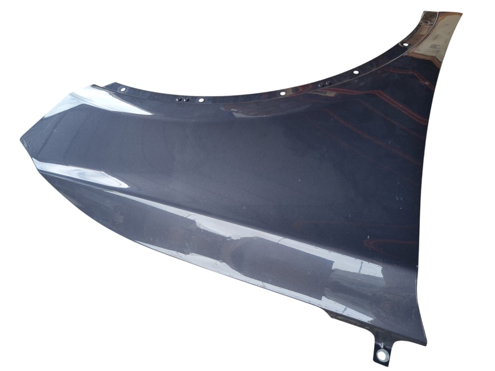 Paralama Dianteiro Direito Byd Tan 2023 Original Ótimo 6