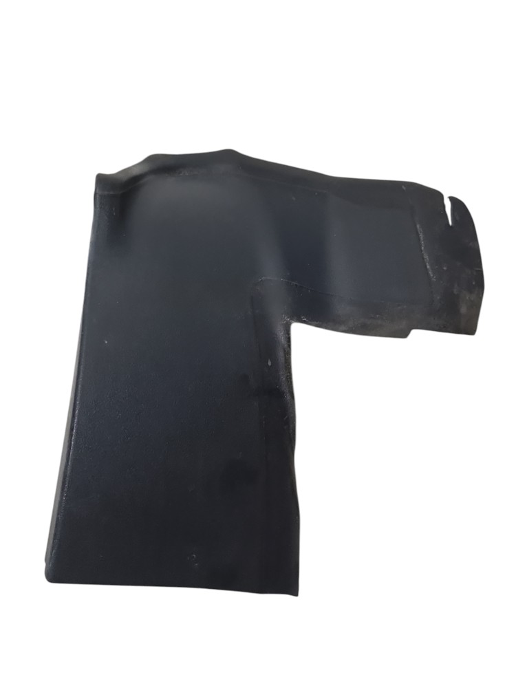 Moldura lanterna tras. Esq. Byd Dolphin Mini ano 2025 2026