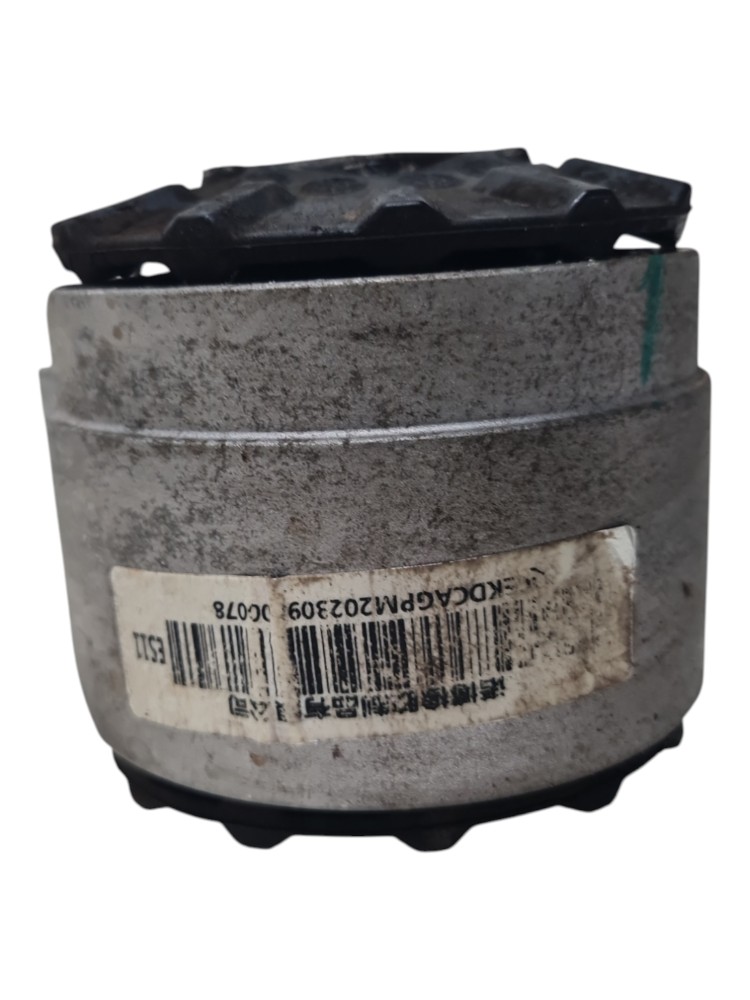 Coxim do motor para gwm ora 03 skin ano 2023 2024 original 5