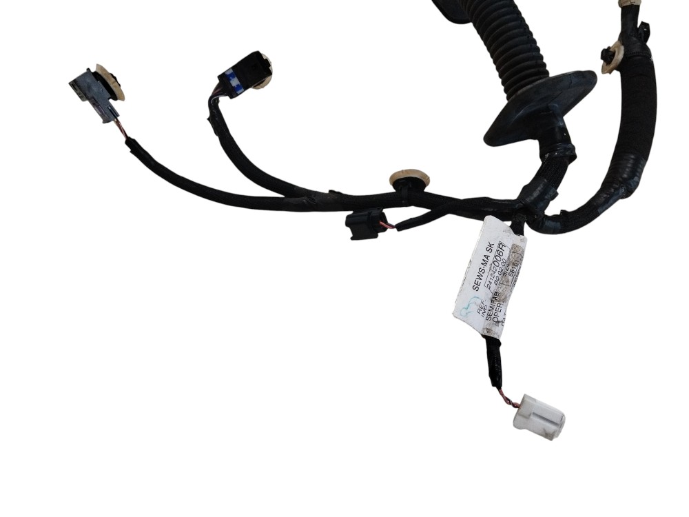 Chicote Porta Dianteira Esquerda Renault Kangoo 2024 2025 8