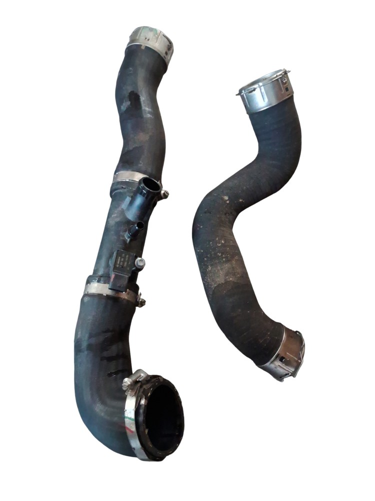 Kit 2 Mangueira De Agua Gwm Tank300 Híbrido 2025 2026 2