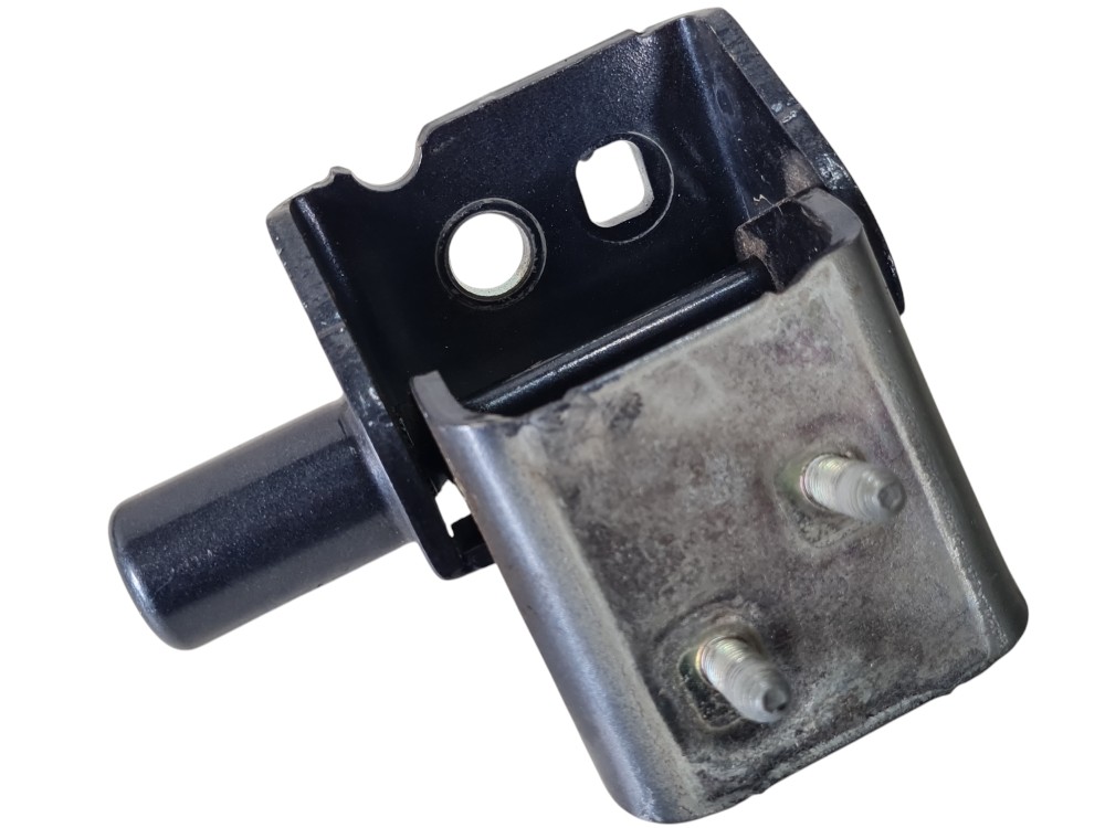 Dobradiça Porta Traseira Direita Renault Zoe 2022 864611 5
