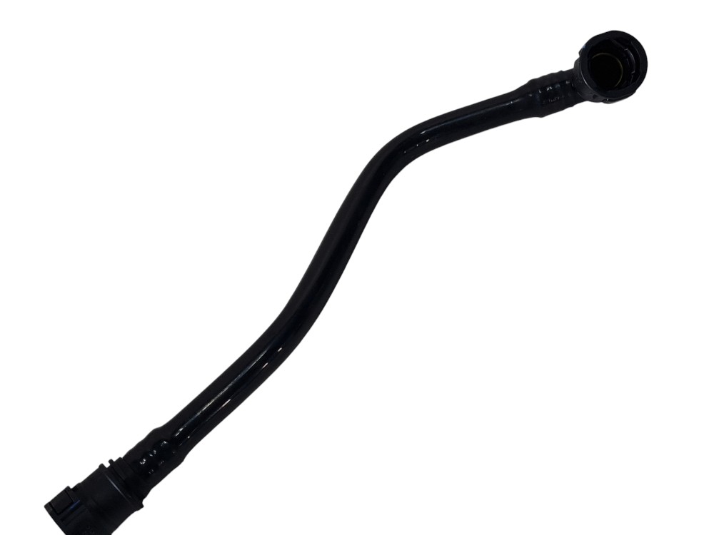 Mangueira Byd Song Plus 2024 Sa3hes-1130640 Original 3